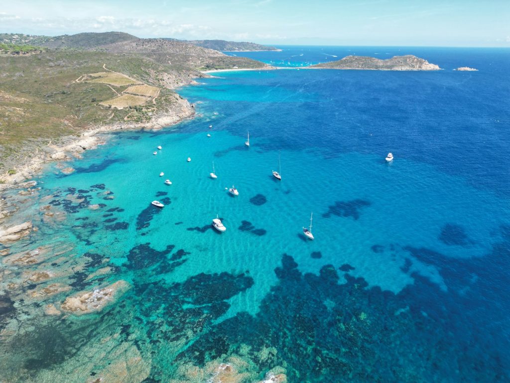 quelles plantes pour un jardin tropical au bord de la côte d'Azur : guide pratique