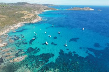 quelles plantes pour un jardin tropical au bord de la côte d'Azur : guide pratique