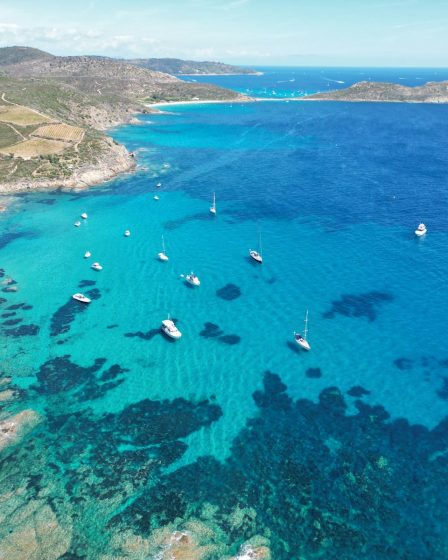 quelles plantes pour un jardin tropical au bord de la côte d'Azur : guide pratique